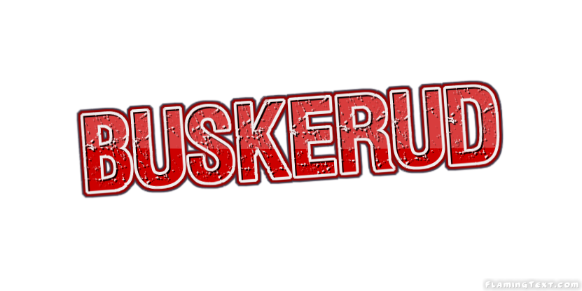 Buskerud 市