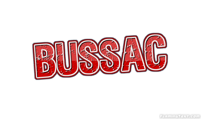 Bussac City