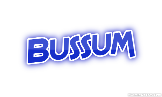 Bussum 市