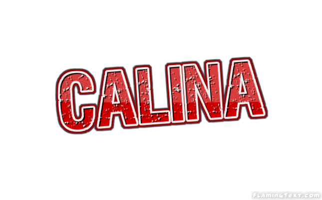 Calina 市