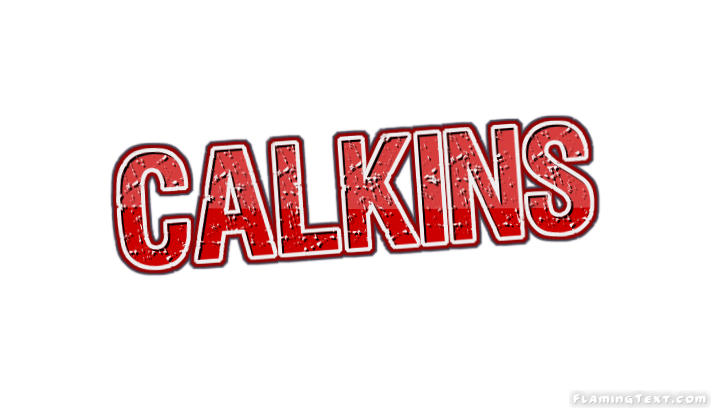 Calkins 市