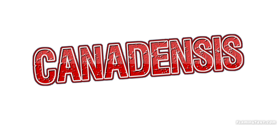 Canadensis 市