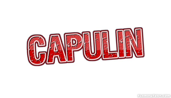Capulin город