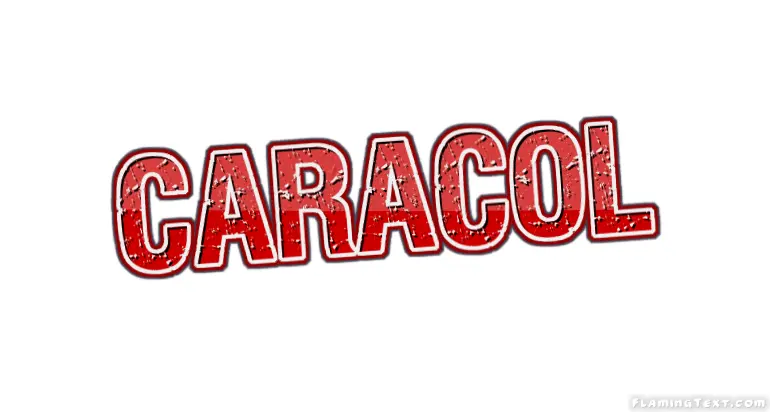 Caracol City