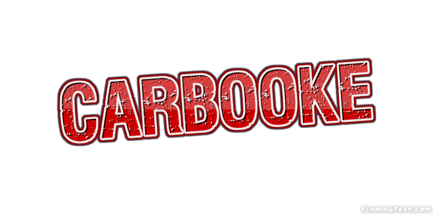 Carbooke 市