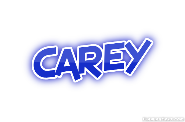 Carey City