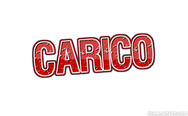 Carico City