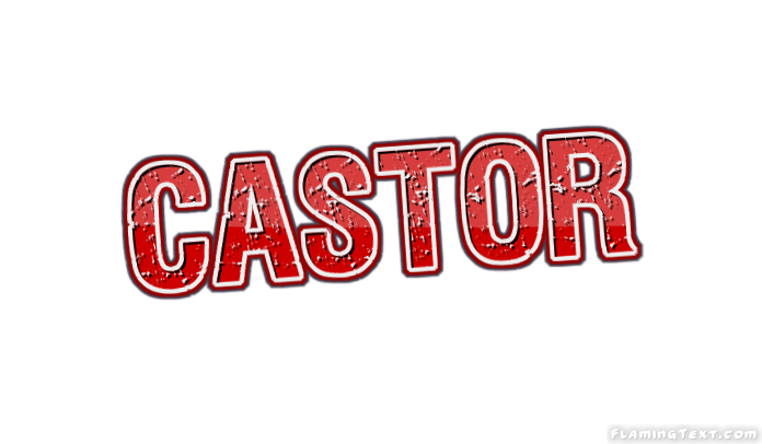 Castor City