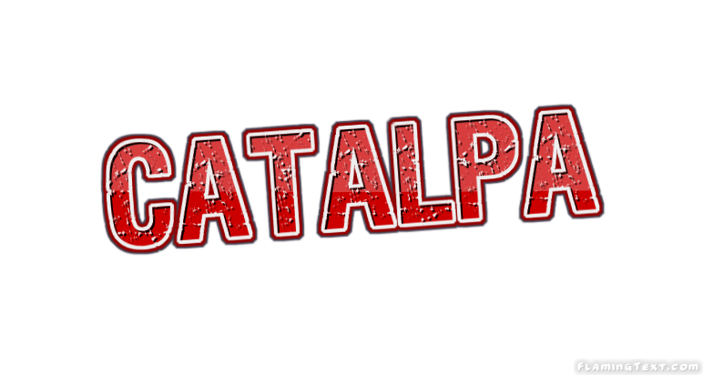 Catalpa 市