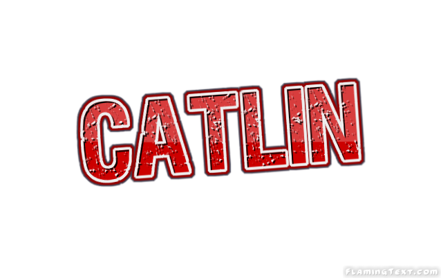 Catlin 市