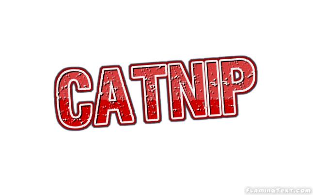 Catnip مدينة