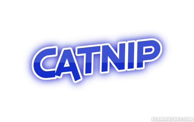 Catnip Stadt