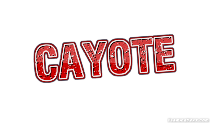 Cayote City
