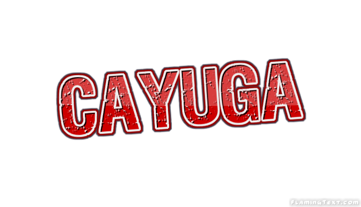 Cayuga City