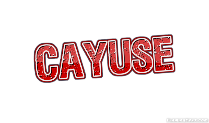 Cayuse City