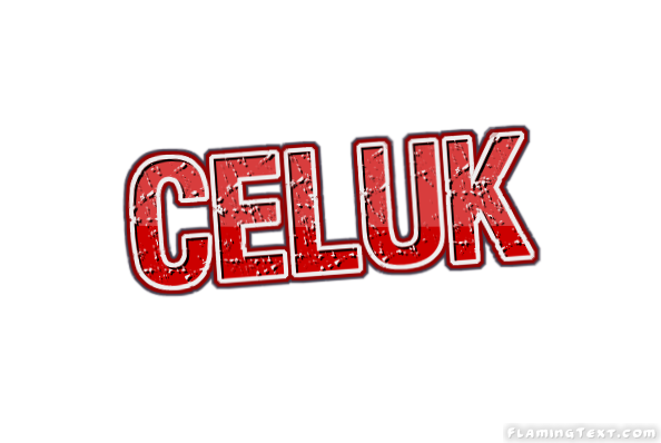 Celuk City