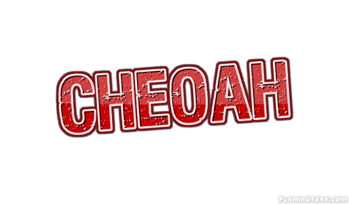 Cheoah 市