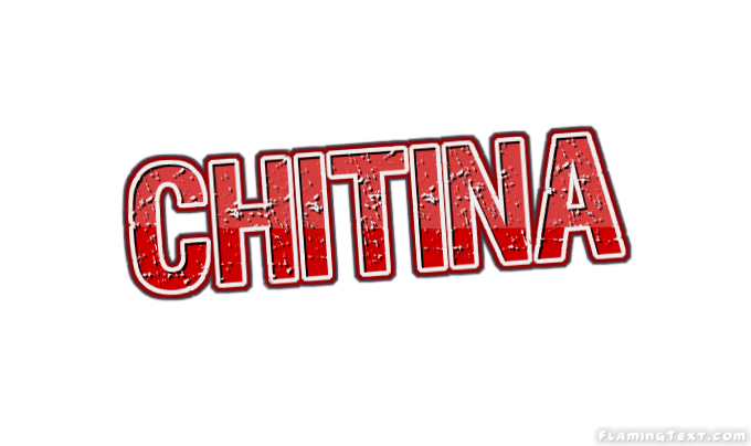 Chitina 市