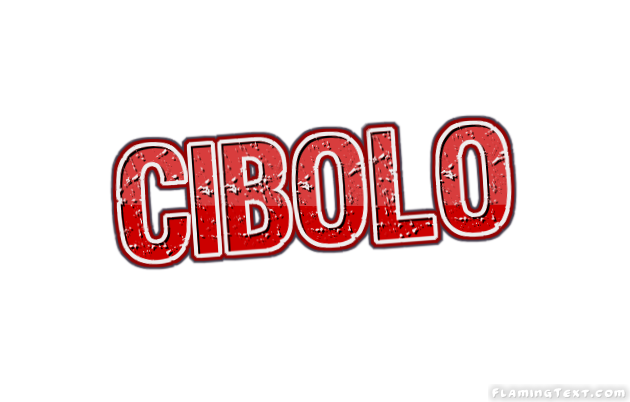 Cibolo City