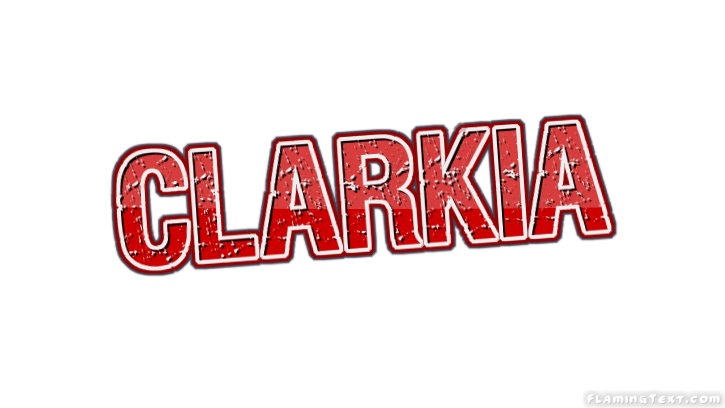 Clarkia City