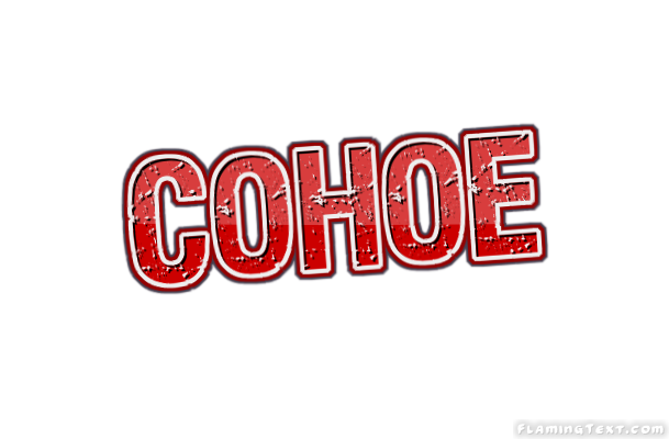 Cohoe город