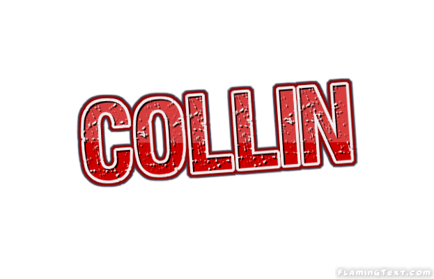 Collin 市