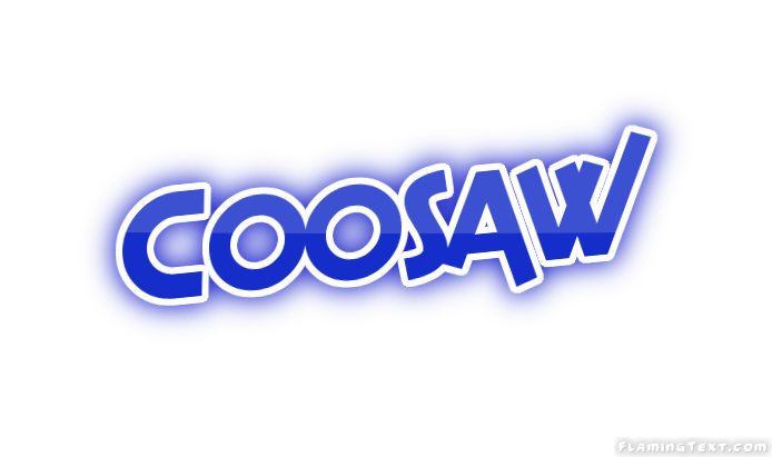 Coosaw City