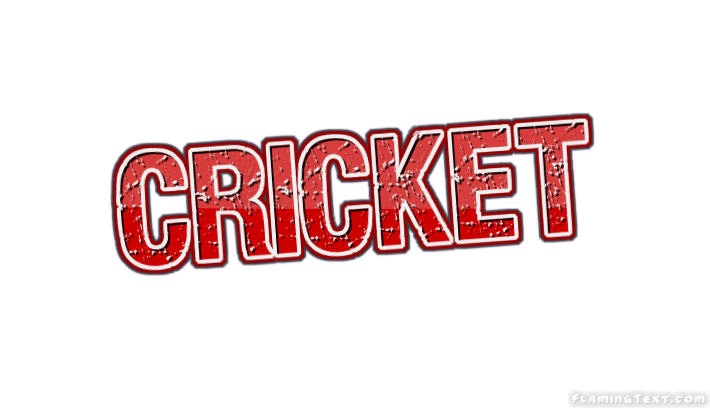 Cricket 市