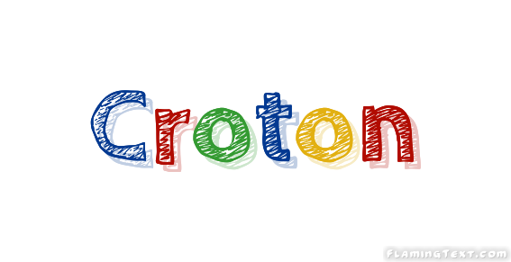 Croton Cidade