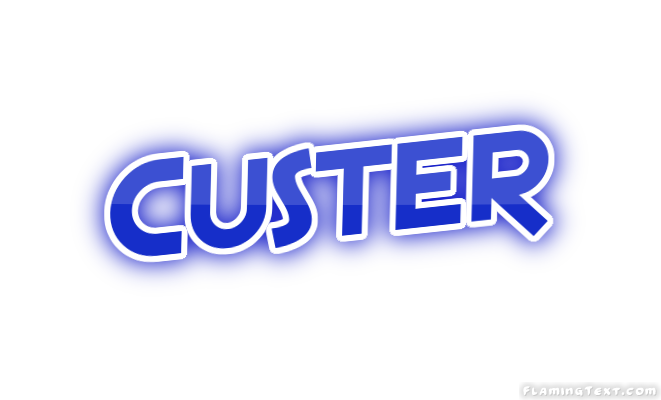 Custer город