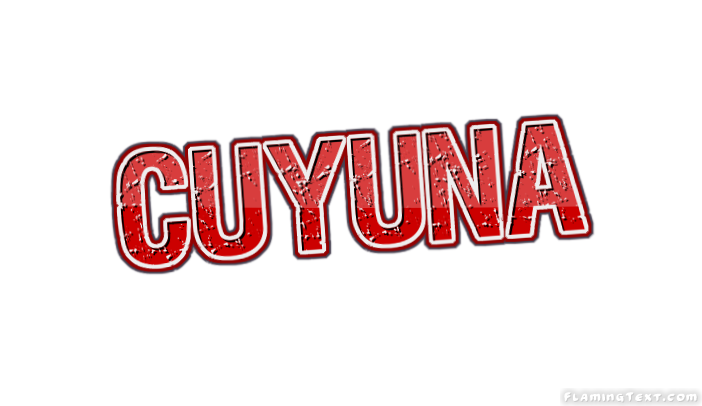 Cuyuna город