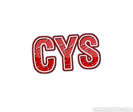 Cys 市