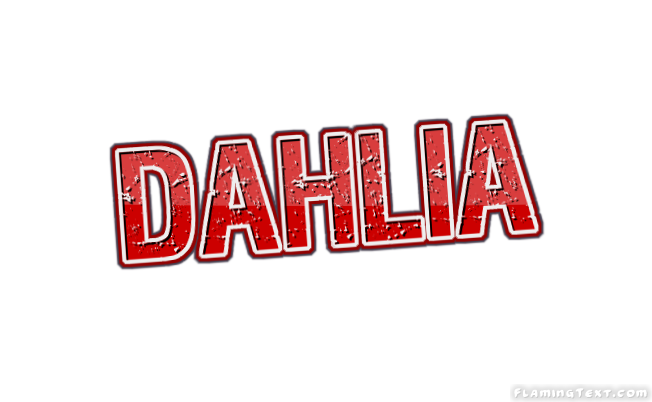 Dahlia Stadt