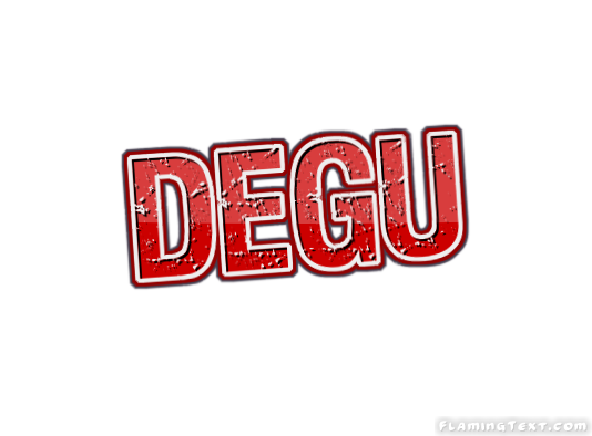 Degu Stadt