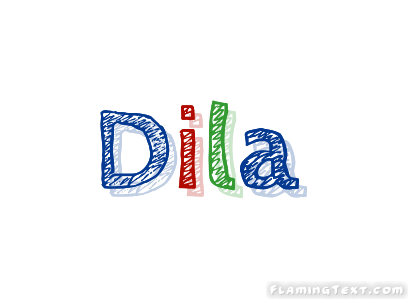 Dila 市