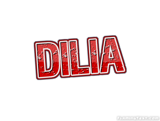 Dilia 市