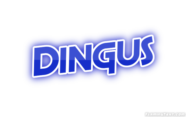 Dingus City