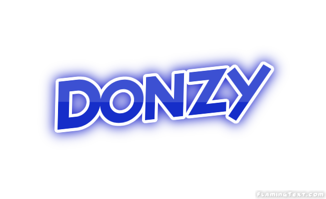 Donzy город