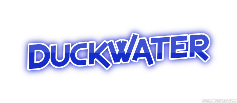 Duckwater 市