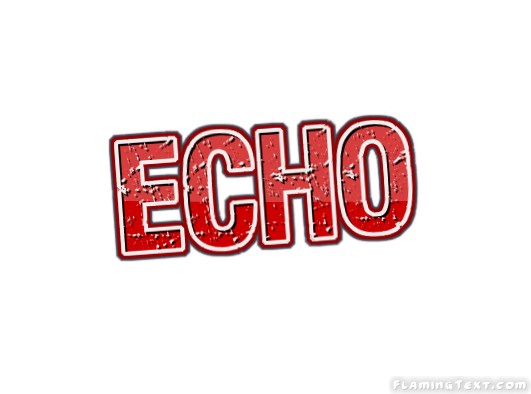 Echo 市