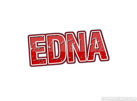 Edna Cidade