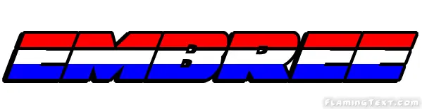 Embree 市