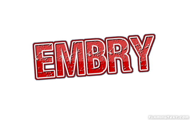 Embry City