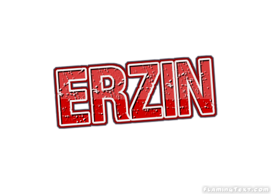 Erzin город