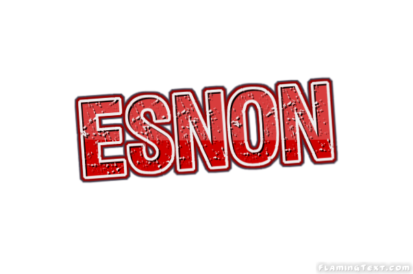 Esnon City