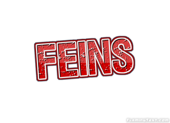 Feins مدينة