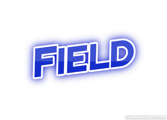 Field Ciudad