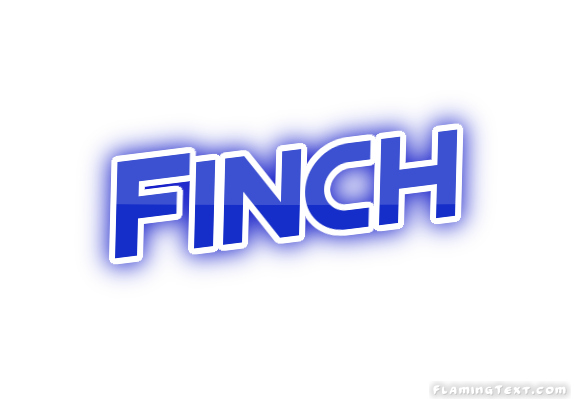 Finch Ciudad