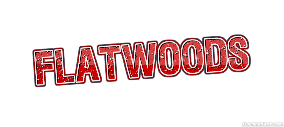 Flatwoods город