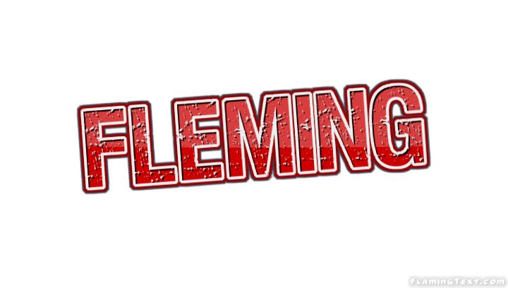 Fleming город